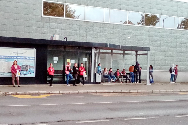 Bečejprevoz otkazao sve polaske za Novi Sad 1. novembra