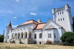 Dvorac Fantast kod Bečeja zarastao u korov, snimak iz juna 2025. godine
